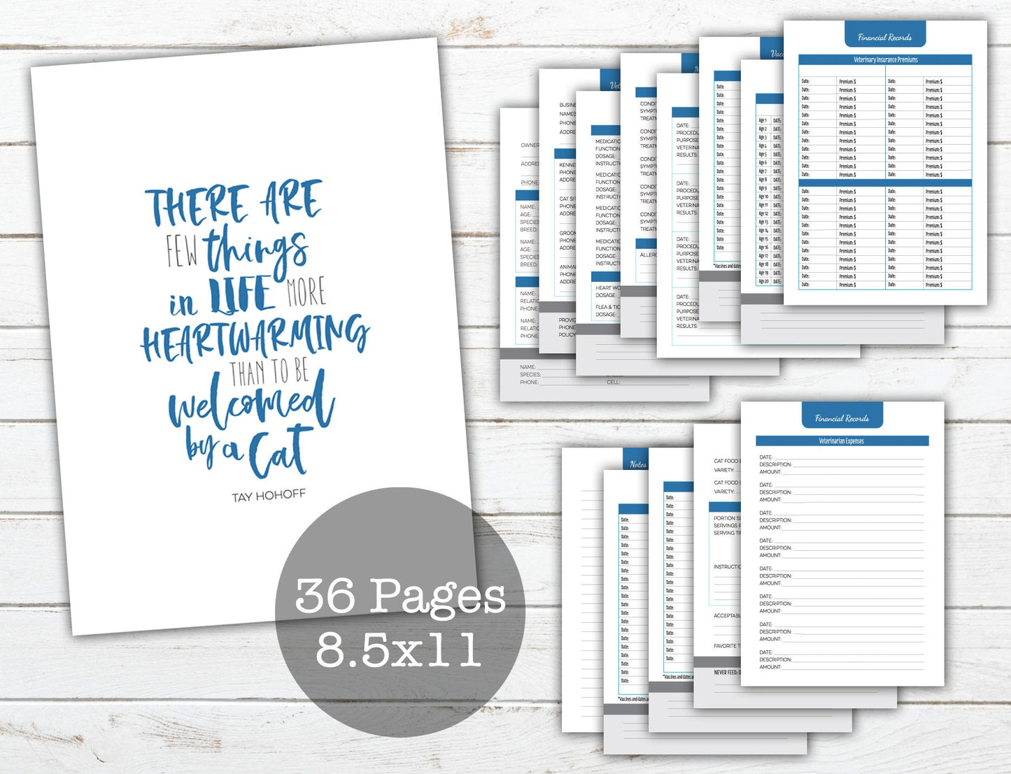 New Kitten Pet Health Records Booklet ~ 8.5"x11" ~ Printable PDF