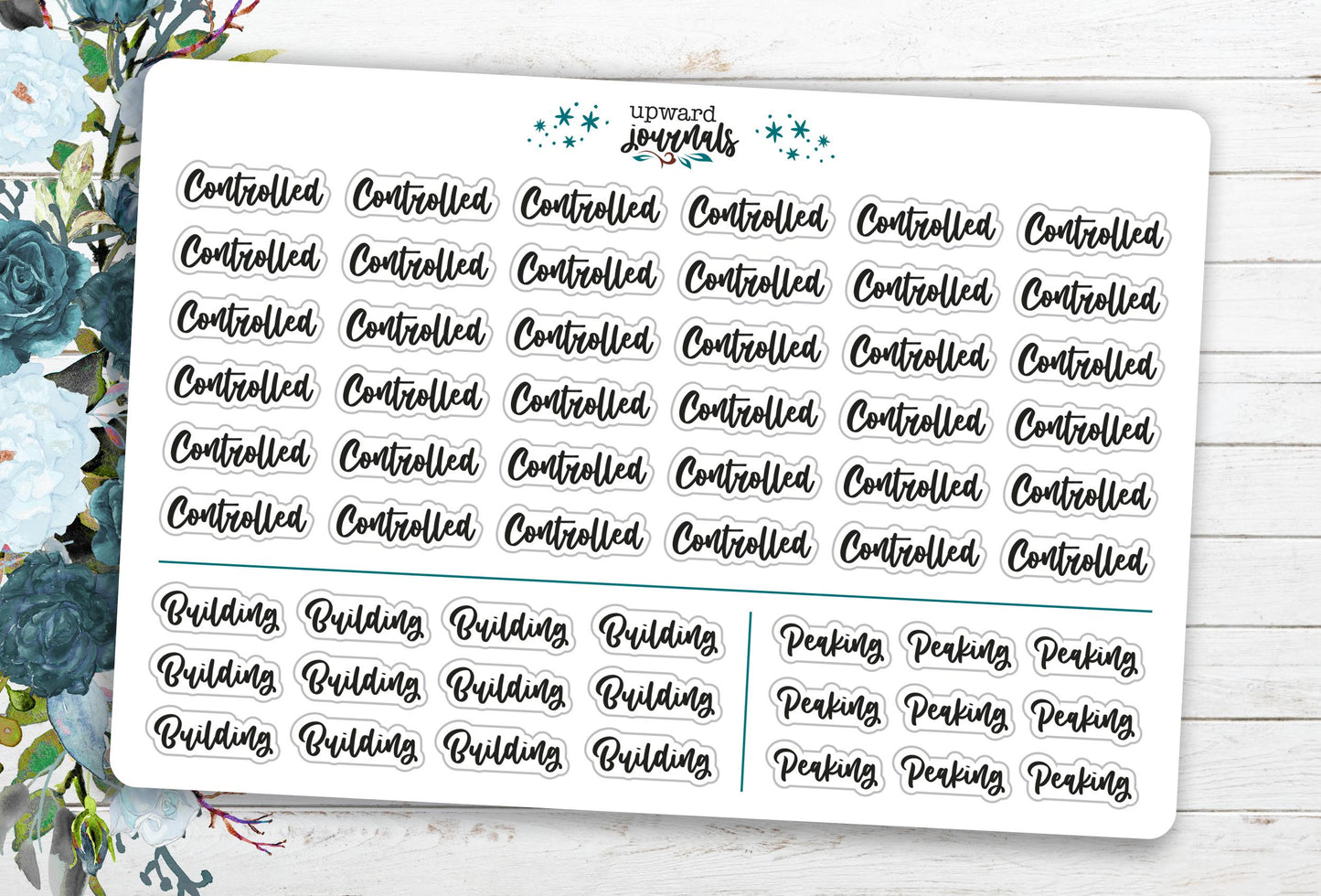 Bipolar Tracking Planner Stickers ~ Mental Health Tracking